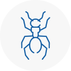 Ant Removals In Ambleside