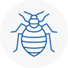 Bed Bug Extermination In Ambleside