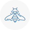 Bee Nest Removal Ambleside