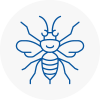 Ambleside Hornet Nest Removals