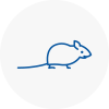 Mice Exterminators In Ambleside