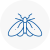 Moth Control Specialists In Ambleside