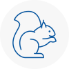 Ambleside Rodent Removals